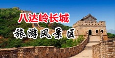 能看草逼的免费网站中国北京-八达岭长城旅游风景区